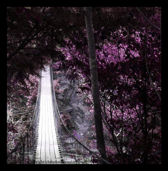 Purple Suspension