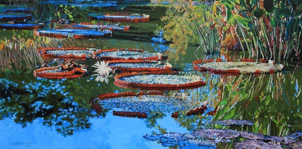 Water Lilies for Amelia