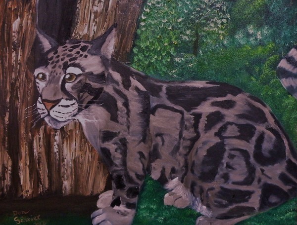 Great Cloud Leopard
