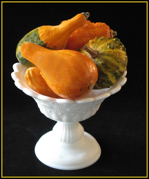 MINATURE GOURDS