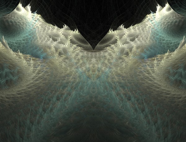 Shells 1