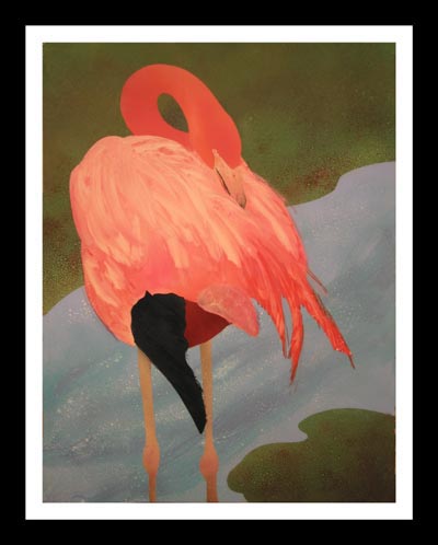 Flamingo