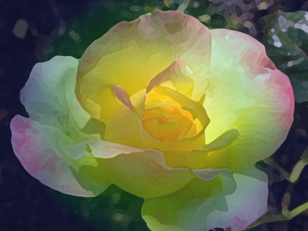 Yellow glow