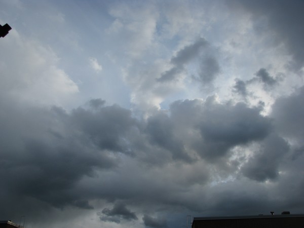 Naturephotos2008-igirex08