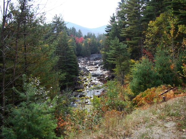 autumn gorge