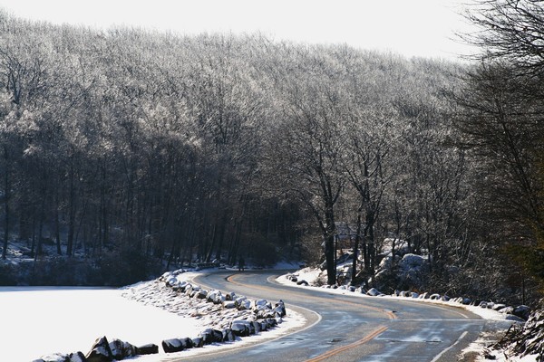 Glazed Trees on Seven Lakes Drive
