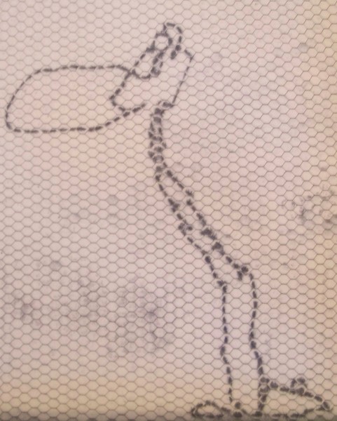 Pelican
