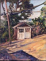 1911shed, Sea Cliff