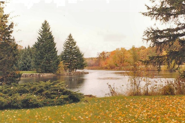 A Quiet Place