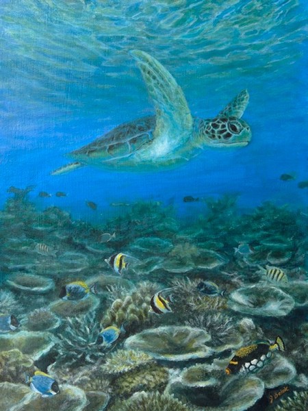 Fiji Treasures