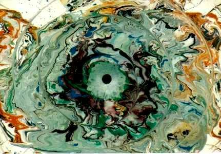 In A Pigs Eye