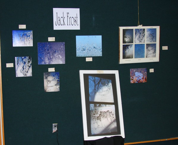 My Exhibit 2010