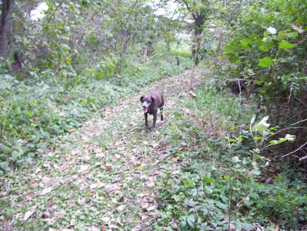 the unbeaten path