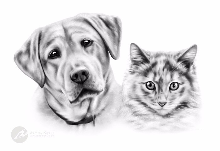 Pippa & Tilly