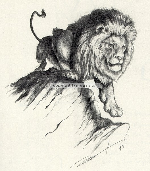 Lion on the Prowl