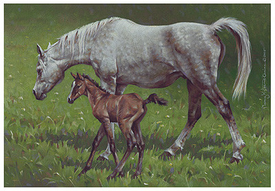 The Good Gray Mare