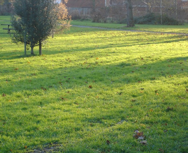 Shadow's of a rural landscape