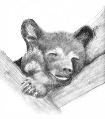 Afternoon Nap