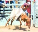 CHUTE 5