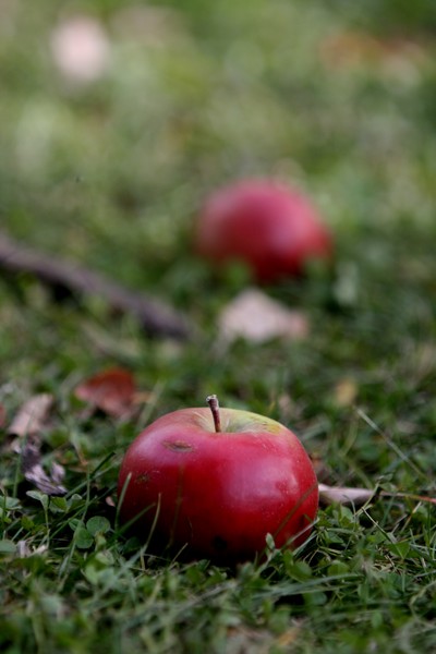 random_pics_(3)