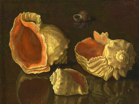 Marine shells