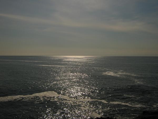 l 7399a501de8d4732aab70a7b0c0b977d