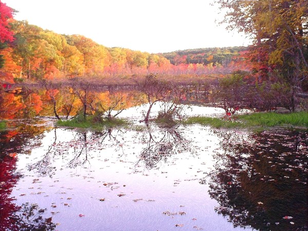 Autumn lake faux oil 2