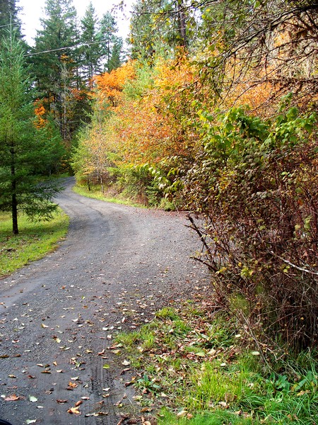 Country Curves