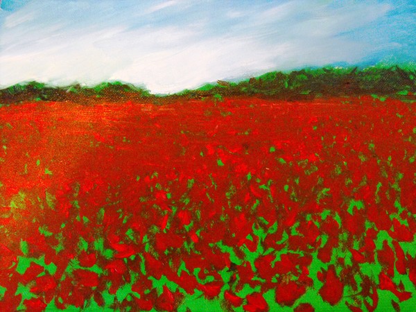 Poppy field
