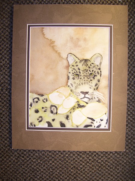 Leopard