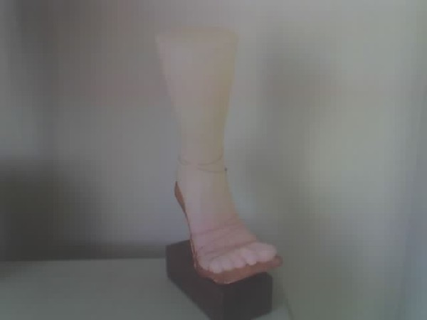 Copper heel #1 2004