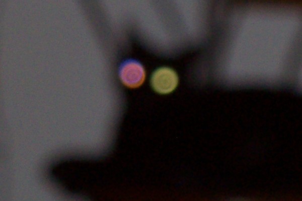 Cazi's Eyes
