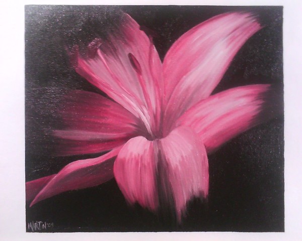 pink lilly