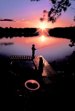 nw_sunset