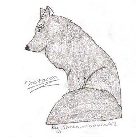 sha