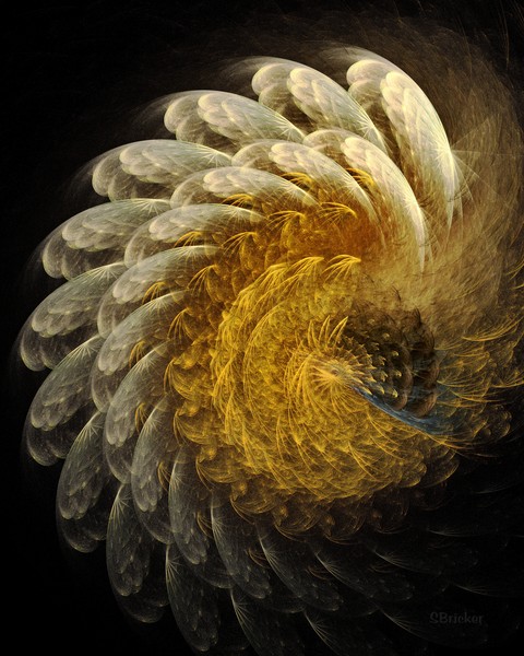 Feather Dance