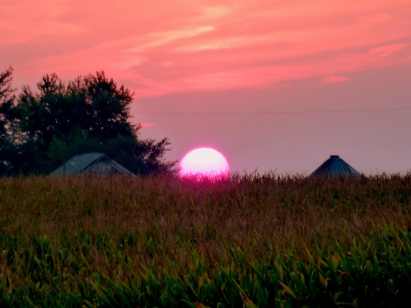 Watching The Sun Set