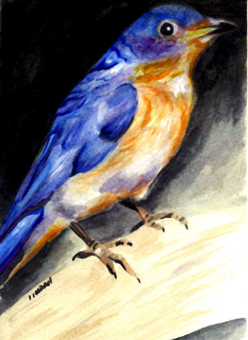 Bluebird