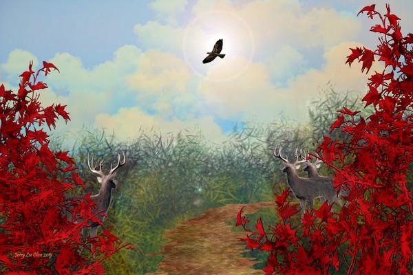 Nature's Awe