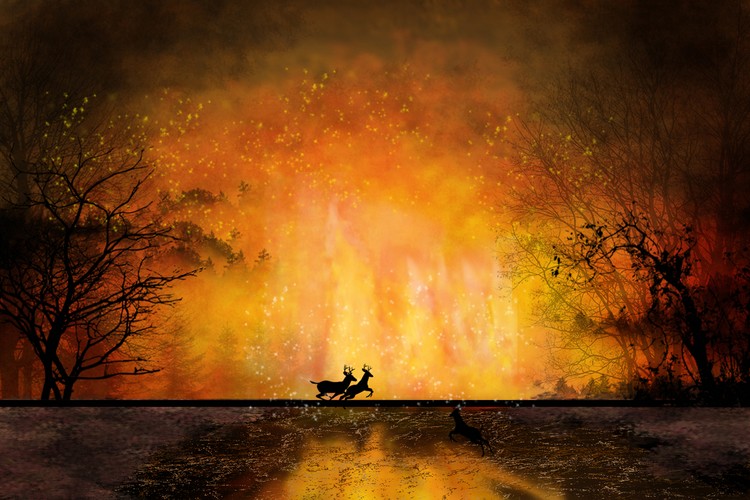Burning Wilderness