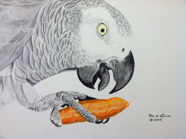 African Grey Parrot (Original Artwork Sold)