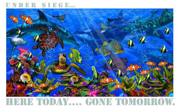 going... going....gone