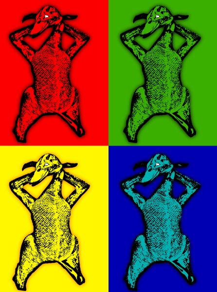 The Nude Duck