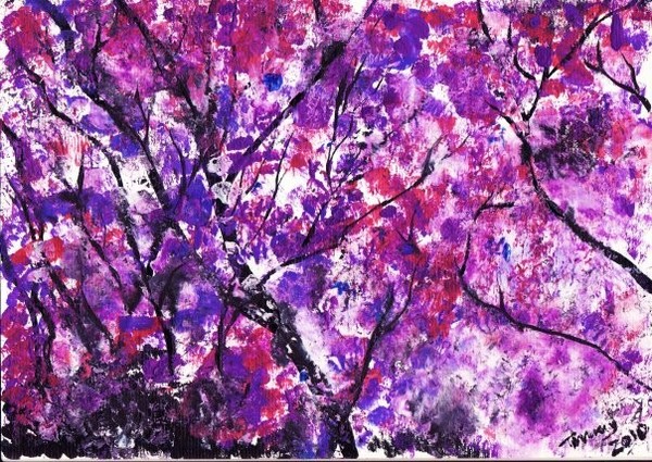 Jacaranda