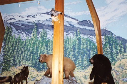 mountain scene
