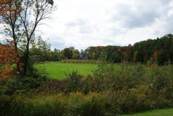 Autumn Views
