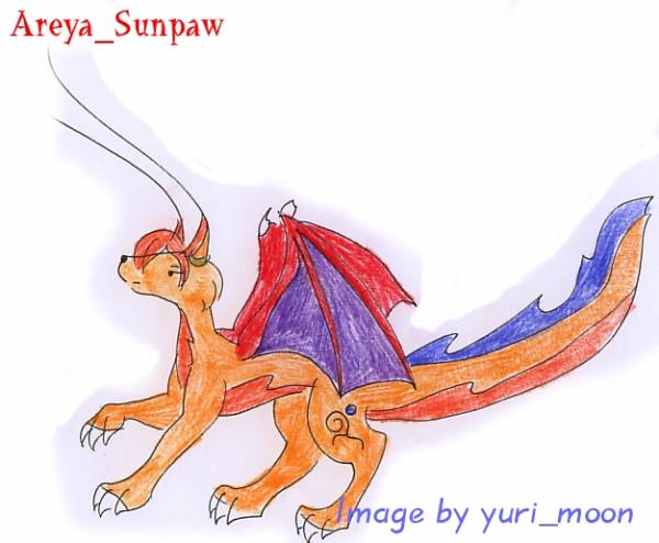 New Areya ^^