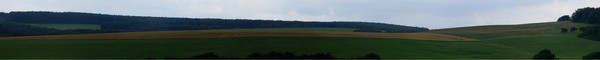 My native land