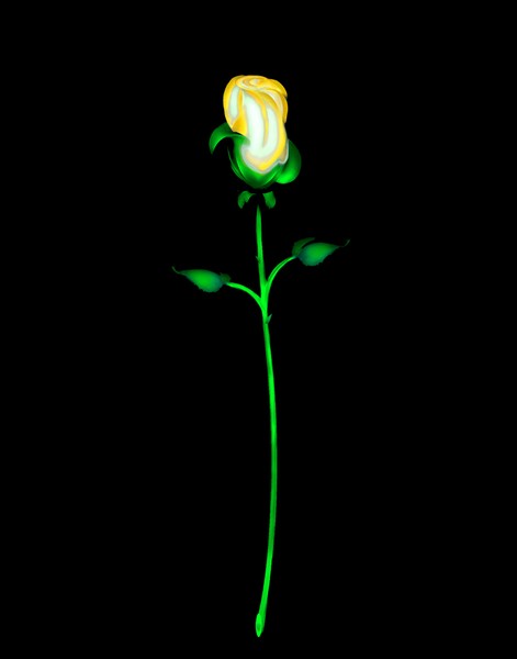 Yellow Rose