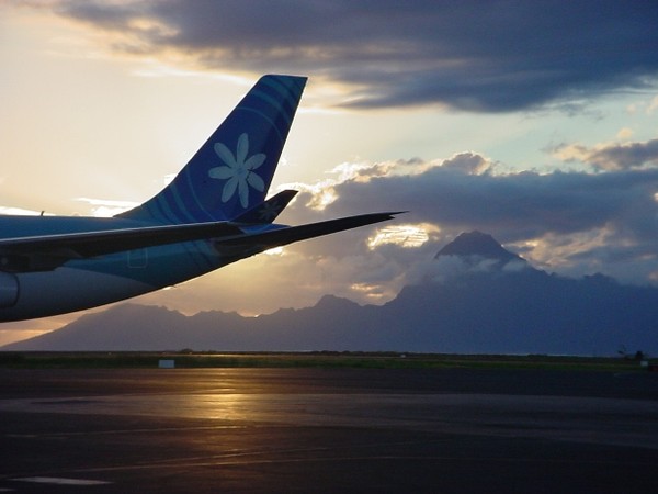 Fly Away to paradise